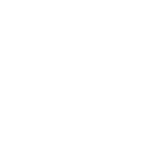 logo blanc fond transparent de GE2A, cabinet de géomètres-experts à La Seyne sur Mer dans le Var (83)